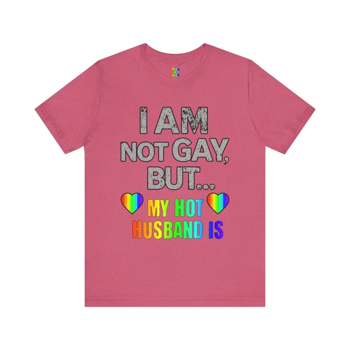 Prideful Short Sleeve Tee - I AM NOT GAY BUT MY HOT HUSBAND IS, LGBTQ T-Shirt, Equality Shirt, Pride Apparel, Gift for Husband - Tees4Gays
