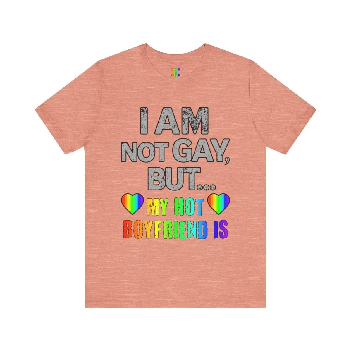 Sassy LGBTQ T-Shirt – “I’m Not Gay, But My Boyfriend Is” Pride Tee - Tees4Gays
